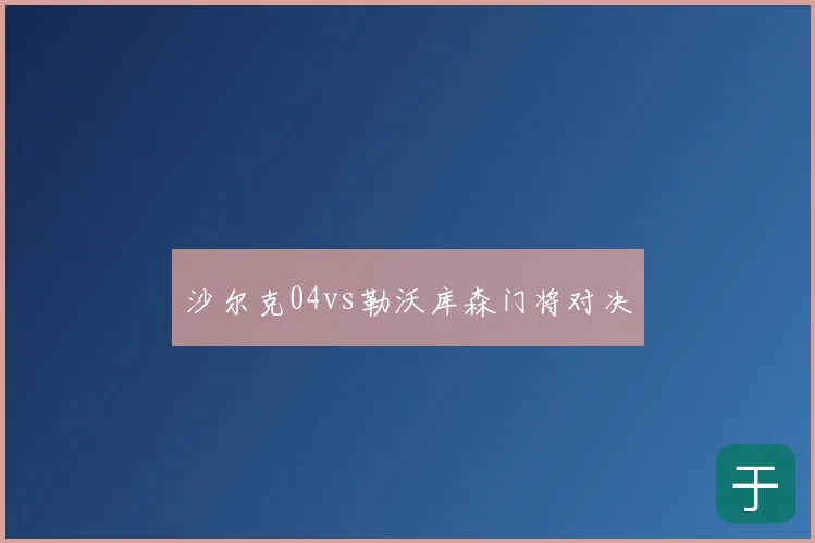 沙尔克04vs勒沃库森门将对决